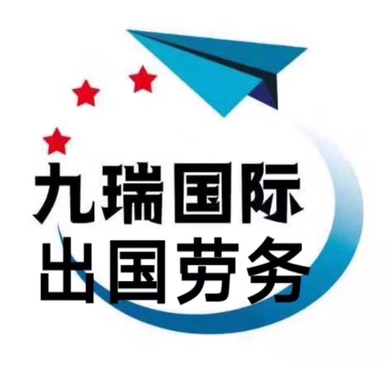 黑龍江九瑞國際信息咨詢服務(wù)有限公司的圖標(biāo)