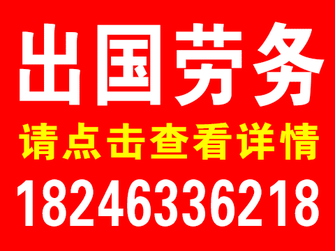出國(guó)勞務(wù)的圖標(biāo)