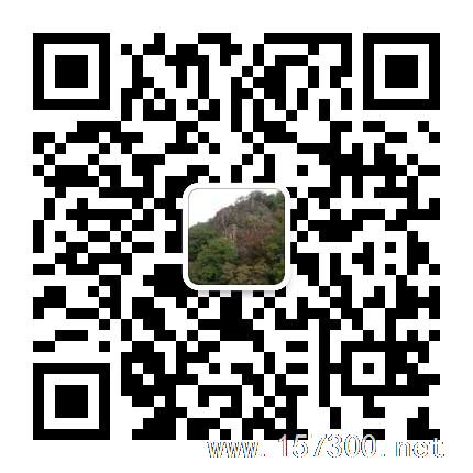 長(zhǎng)年代寫法律文書、提供法律咨詢