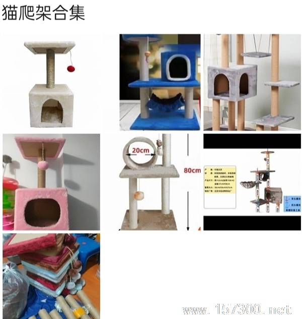 寵物用品清貨，最后1天