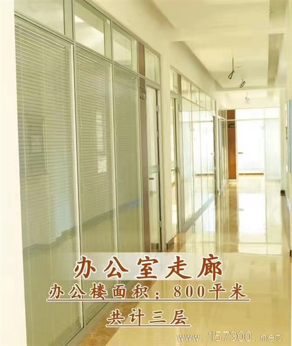 保稅區(qū)廠房出租