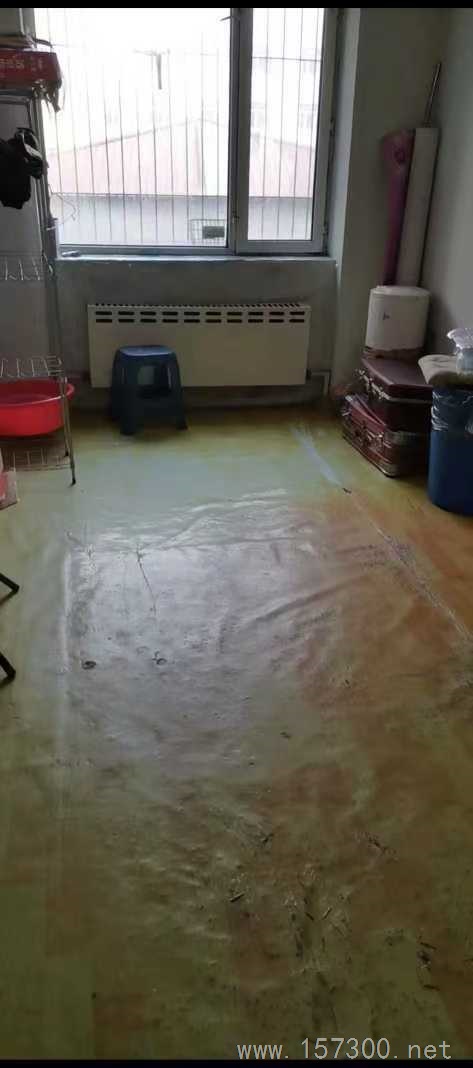 教師樓出售